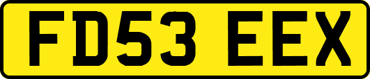 FD53EEX