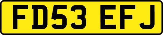 FD53EFJ