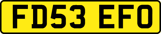 FD53EFO