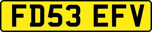 FD53EFV