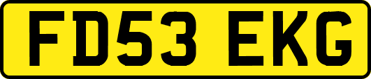 FD53EKG