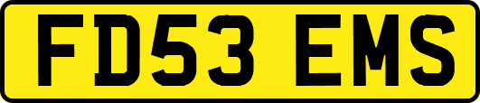 FD53EMS