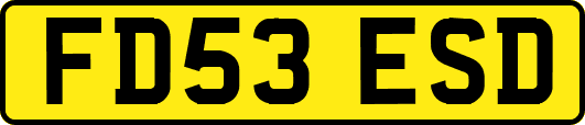 FD53ESD