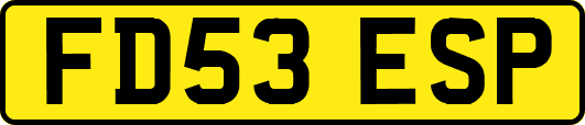 FD53ESP