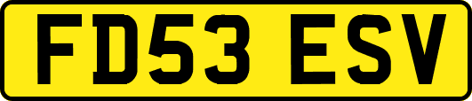 FD53ESV