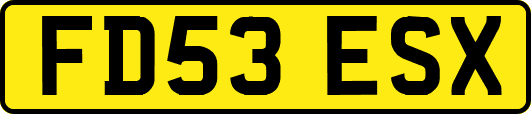 FD53ESX