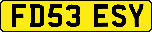FD53ESY