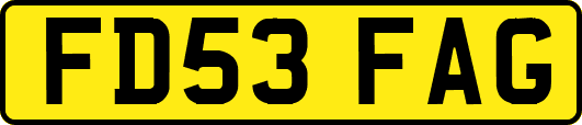 FD53FAG