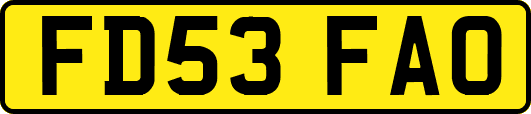 FD53FAO