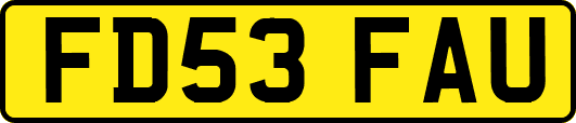 FD53FAU