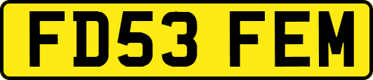 FD53FEM