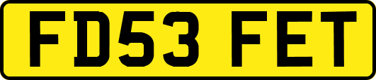 FD53FET