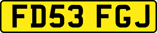 FD53FGJ