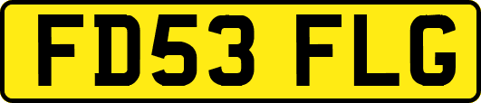 FD53FLG