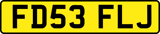 FD53FLJ