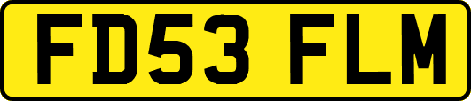 FD53FLM