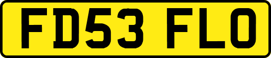 FD53FLO
