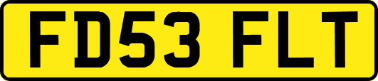 FD53FLT
