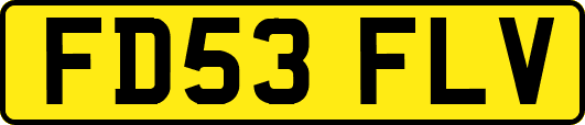 FD53FLV
