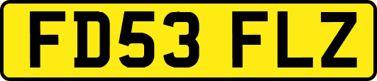 FD53FLZ