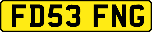 FD53FNG