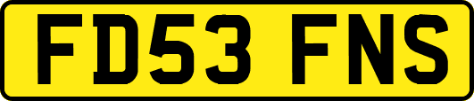 FD53FNS