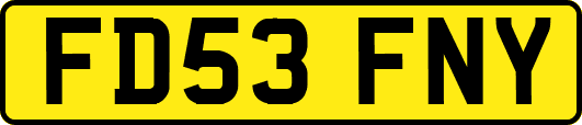 FD53FNY
