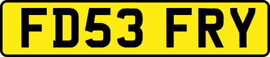FD53FRY