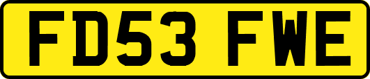 FD53FWE