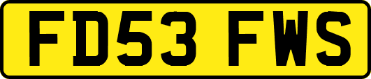 FD53FWS
