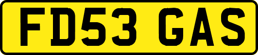 FD53GAS