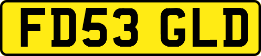 FD53GLD