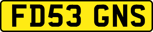 FD53GNS