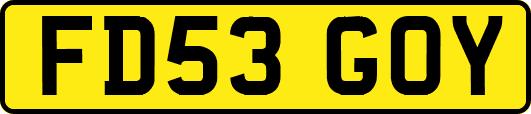 FD53GOY