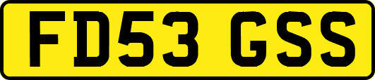 FD53GSS