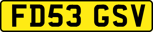 FD53GSV