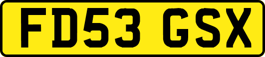 FD53GSX