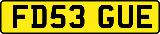 FD53GUE