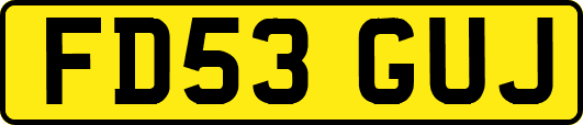FD53GUJ