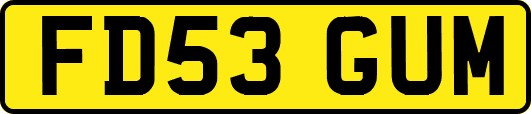 FD53GUM