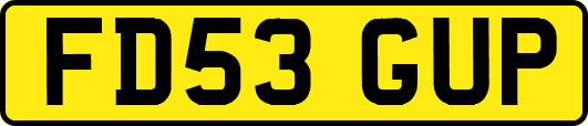 FD53GUP