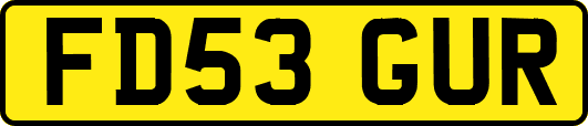 FD53GUR