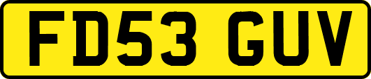 FD53GUV