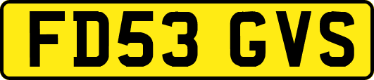 FD53GVS