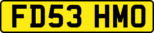 FD53HMO