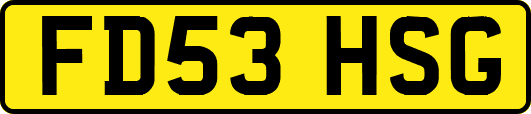 FD53HSG