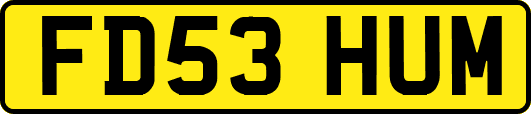 FD53HUM