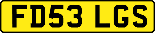 FD53LGS