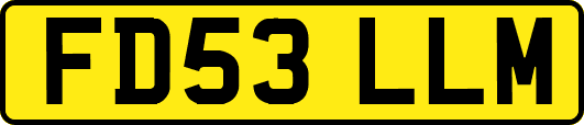 FD53LLM