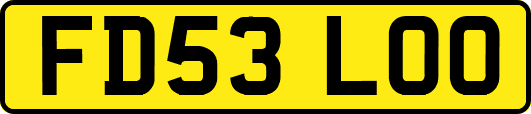 FD53LOO